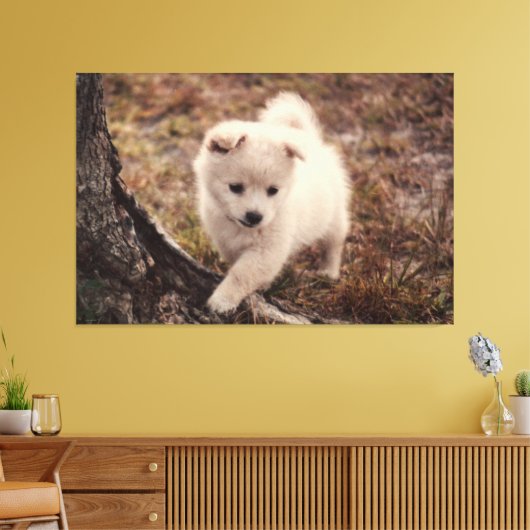 Schattige fluffy Snowball Puppy Dog Canvas Kunst (Insitu (Woonkamer))