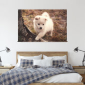 Schattige fluffy Snowball Puppy Dog Canvas Kunst (Insitu (Slaapkamer))