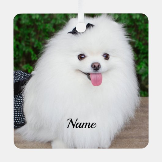 Schattige Fluffy White Puppy Dog Metalen Ornament (Voorkant)