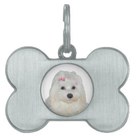 Schattige Fluffy Witte Maltese Lili Huisdieren Naamplaatje