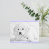 Schattige Fluffy Witte Puppypostkaart Briefkaart (Staand voorkant)