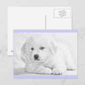 Schattige Fluffy Witte Puppypostkaart Briefkaart (Voorkant / Achterkant)