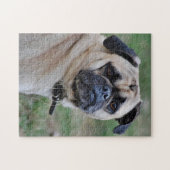 Schattige foto Puzzle Legpuzzel (Horizontaal)