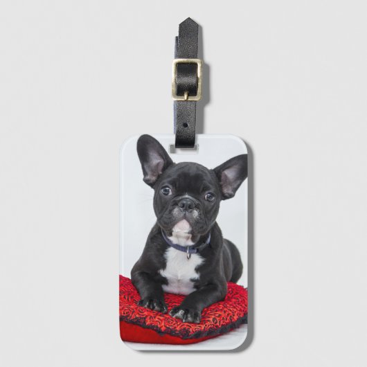 Schattige foto van bulledog Black en White Bagagelabel (Voorkant (verticaal))