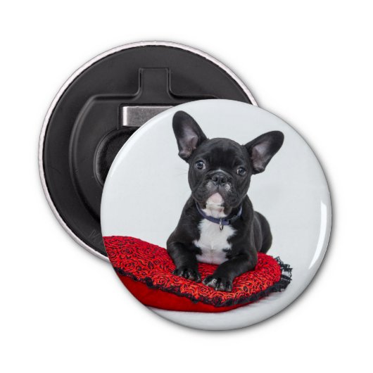 Schattige foto van bulledog Black en White Button Flesopener (Voorkant)