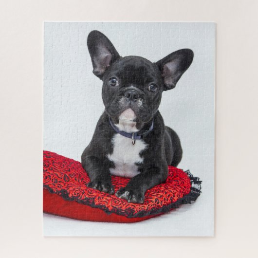 Schattige foto van bulledog Black en White Legpuzzel (Verticaal)