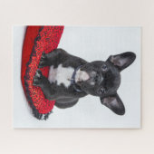 Schattige foto van bulledog Black en White Legpuzzel (Horizontaal)