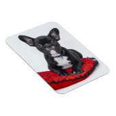 Schattige foto van bulledog Black en White Magneet (Rechterzijde)