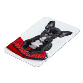 Schattige foto van bulledog Black en White Magneet (Linkerzijde)