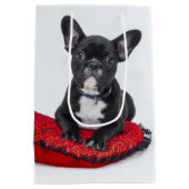 Schattige foto van bulledog Black en White Medium Cadeauzakje (Achterkant)