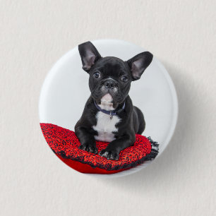 Schattige foto van bulledog Black en White Ronde Button 3,2 Cm