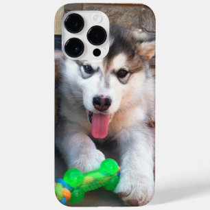 Schattige foto van Puppy Alaskan Malamute Case-Mate iPhone 14 Pro Max Hoesje