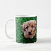 Schattige foto van Puppy Koffiemok (Links)