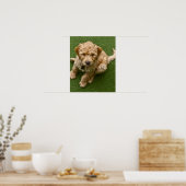 Schattige foto van Puppy Poster (Keuken)