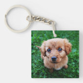 Schattige foto van Puppy Sleutelhanger (Voorkant)