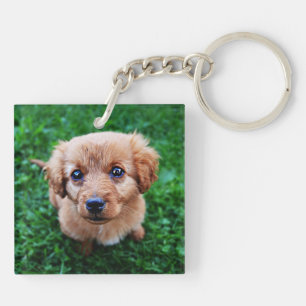 Schattige foto van Puppy Sleutelhanger