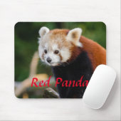 Schattige foto van rode panda muismat (Met muis)