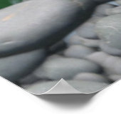 Schattige fox-familie poster (Hoek)