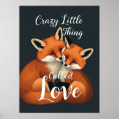 Schattige Fox Love Paar Illustratie Poster (Voorkant)