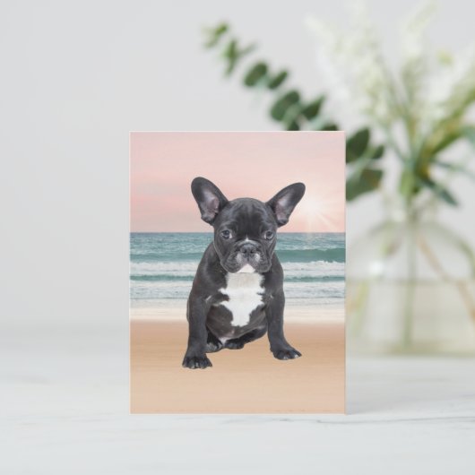 Schattige Frans Bulldog Beach Zonnewater Briefkaart (Staand voorkant)