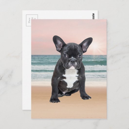 Schattige Frans Bulldog Beach Zonnewater Briefkaart (Voorkant / Achterkant)