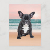 Schattige Frans Bulldog Beach Zonnewater Briefkaart (Voorkant)