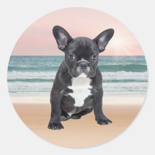 Schattige Frans Bulldog Beach Zonnewater Ronde Sticker (Voorkant)