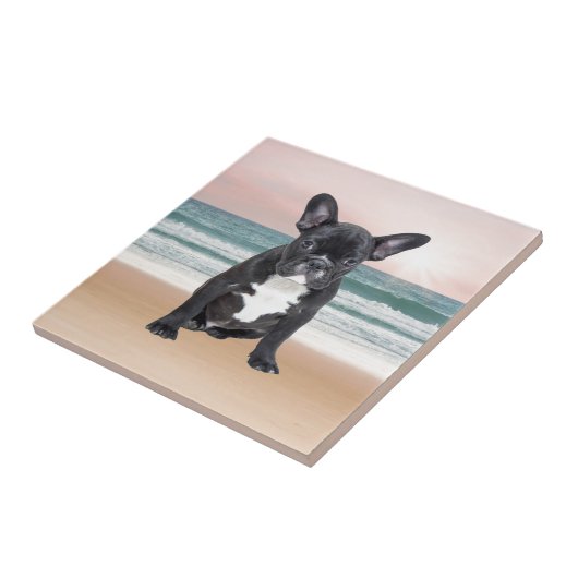 Schattige Frans Bulldog Beach Zonnewater Tegeltje (Zijkant)