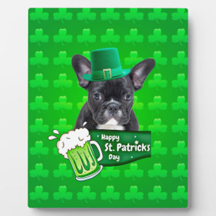 Schattige Frans Bulldog Puppy Pet St. Patrick Day Fotoplaat