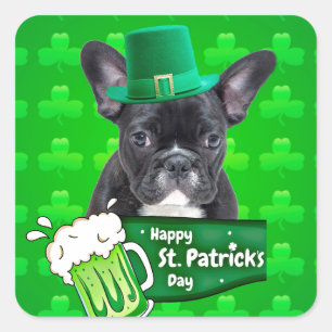 Schattige Frans Bulldog Puppy Pet St. Patrick Day Vierkante Sticker
