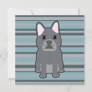 Schattige Franse Bulldog Blauwe Strepen