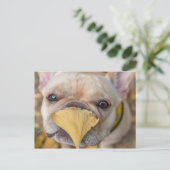 Schattige Franse Bulldog Briefkaart (Staand voorkant)