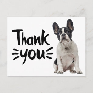 Schattige Franse Bulldog Dank Je Franse Puppy Hond Briefkaart