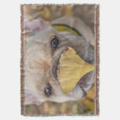 Schattige Franse Bulldog Deken (Voorkant Verticaal)