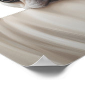 schattige Franse bulldog fotografie print (Hoek)