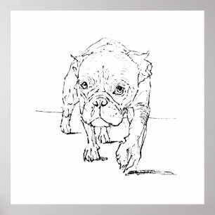Schattige Franse Bulldog, Hond Illustratie Poster