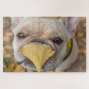 Schattige Franse Bulldog Legpuzzel
