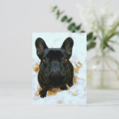 Schattige Franse Bulldog Puppy! Briefkaart (Staand voorkant)
