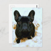 Schattige Franse Bulldog Puppy! Briefkaart (Voorkant / Achterkant)