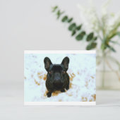 Schattige Franse Bulldog Puppy! Briefkaart (Staand voorkant)
