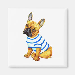 Schattige Franse Bulldog Puppy in een Shirt Magnet