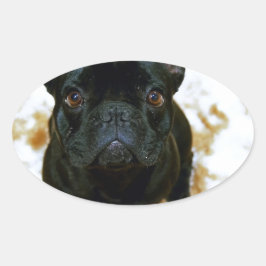 Schattige Franse Bulldog Puppy! Ovale Sticker