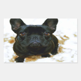 Schattige Franse Bulldog Puppy! Rechthoekige Sticker