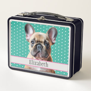 Schattige Franse Bulldog Puppy Teal Kind Dier