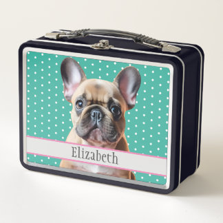 Schattige Franse Bulldog Puppy Teal Kind Dier