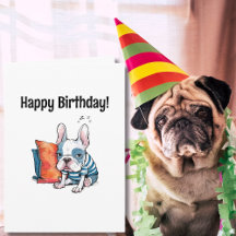 schattige Franse hond, gekleed dier, grappige verj