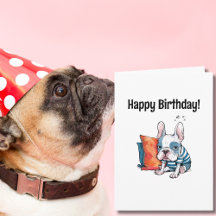 schattige Franse hond, gekleed dier, grappige verj