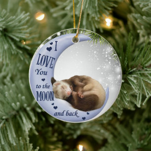 Schattige fret slaapt van liefde tot maan achter d keramisch ornament