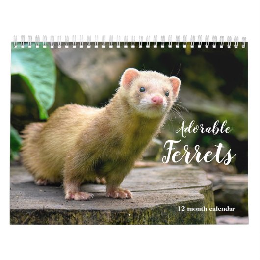 Schattige fretten 2025 kalender (Hoes)