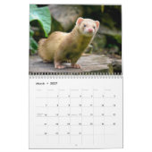 Schattige fretten 2025 kalender (Mar 2027)